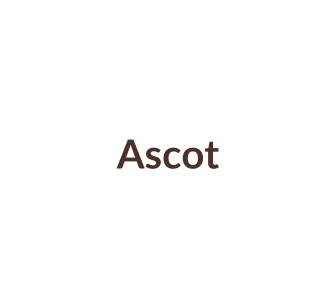 Horlogebandjes passend voor Ascot