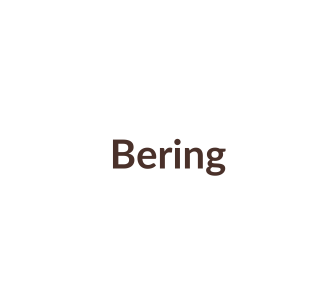 Horlogebandjes passend voor Bering