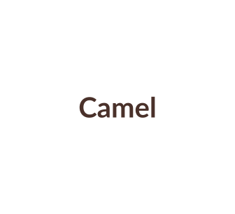 Horlogebandjes passend voor Camel
