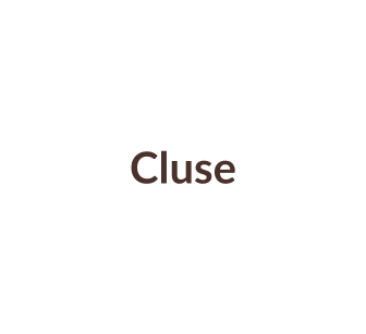 Horlogebandjes passend voor Cluse