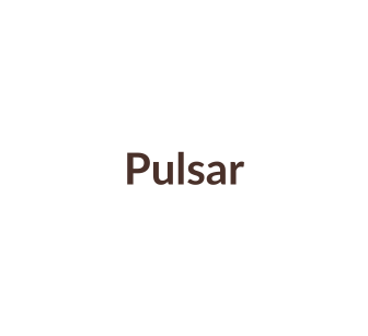 Horlogebandjes passend voor Pulsar