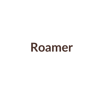 Horlogebandjes passend voor Roamer